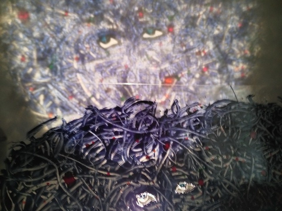 Shadow for “The Valley Apples Valley” by Marie-Pierre Cattino / Peretjatko